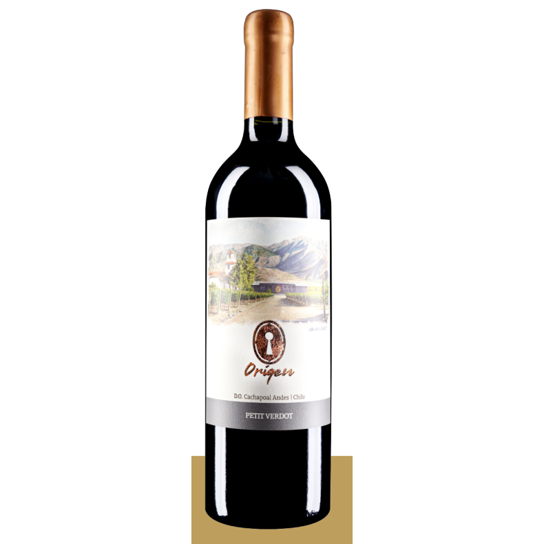 Valle Secreto Origin Petit Verdot (2019), Valle Secreto, Chile