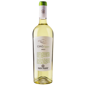 Ciro Bianco (2024), Santa Venere